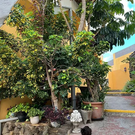 Charming Canarian House At Lila * Puerto de la Cruz (Tenerife)