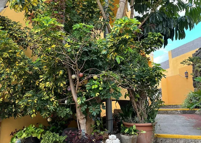 Charming Canarian House At Lila * Puerto de la Cruz (Tenerife)